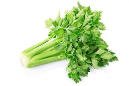 SEDANO BIO