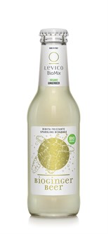 GINGER BEER BIO LEVICO 200ML