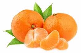 MANDARINO CIACULLI BIO