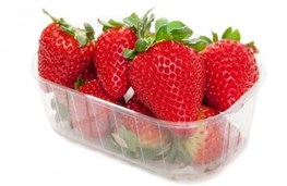 FRAGOLE VASCHETTA 250 G.